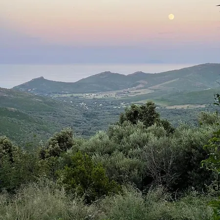 Maison D'americains Lapedina Διαμέρισμα Pietracorbara